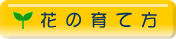 Ԃ̈ĕ